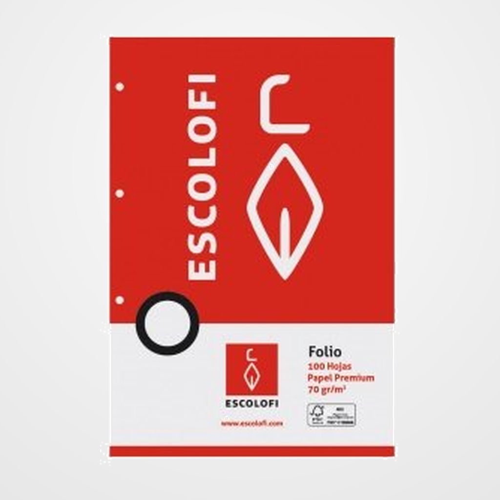 RECAMBIO ESCOLOFI Fº 100h 70gr 4 TALADROS CUADRIC.3x3