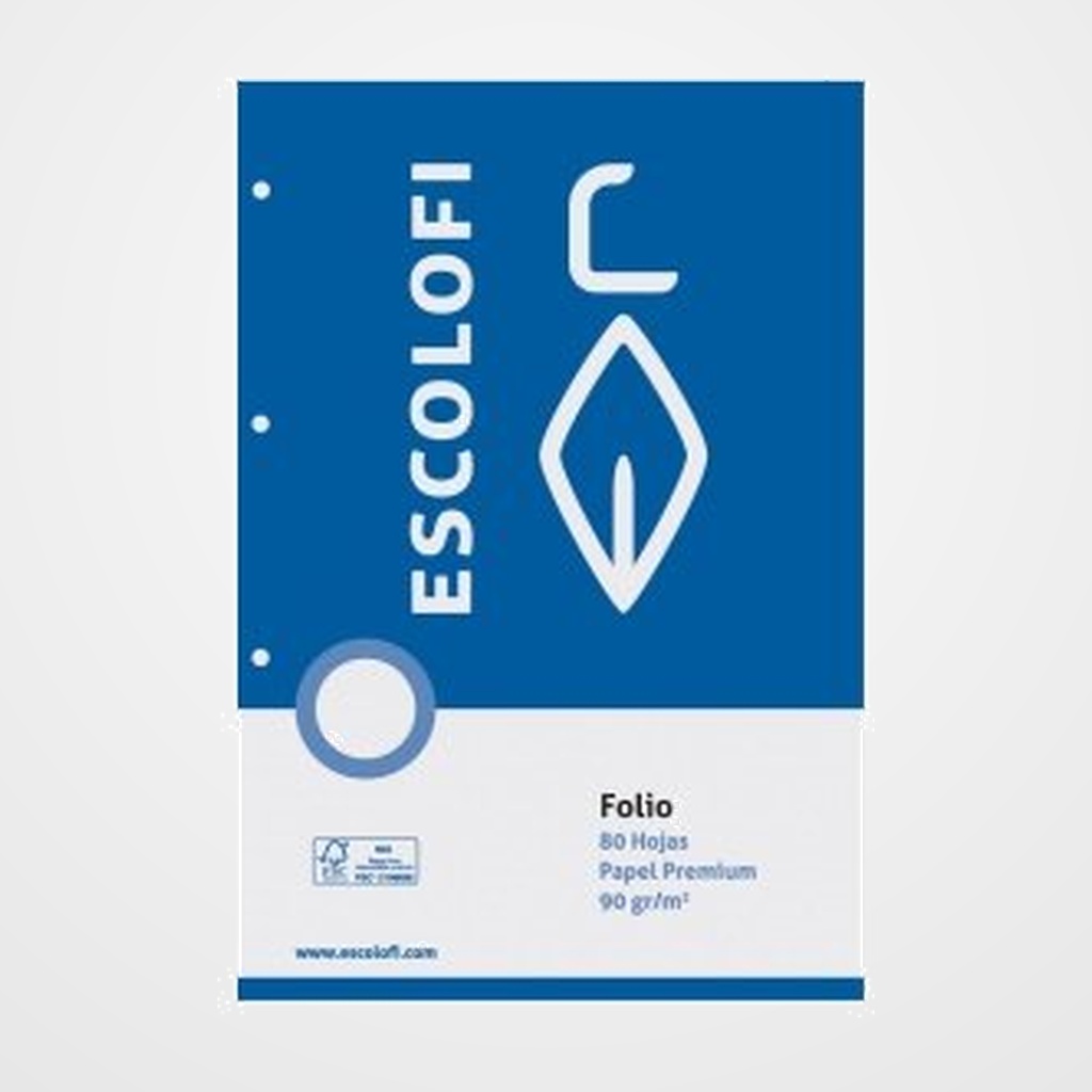 RECAMBIO ESCOLOFI Fº 80h 90gr 4 TALADROS MILIMETRADA 2x2x16