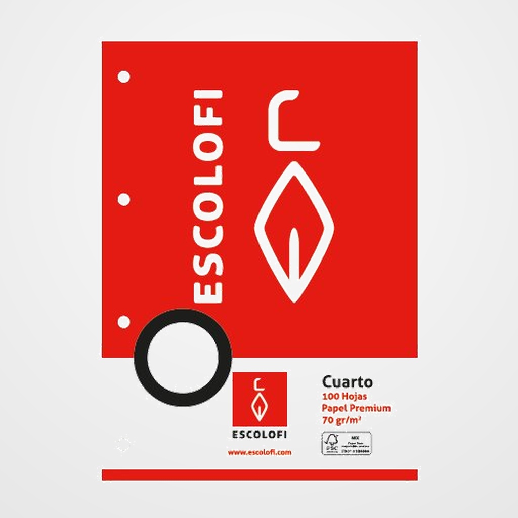 RECAMBIO ESCOLOFI 4º 100h 70gr 4 TALADROS CUADRIC.8x8 C/MARGEN