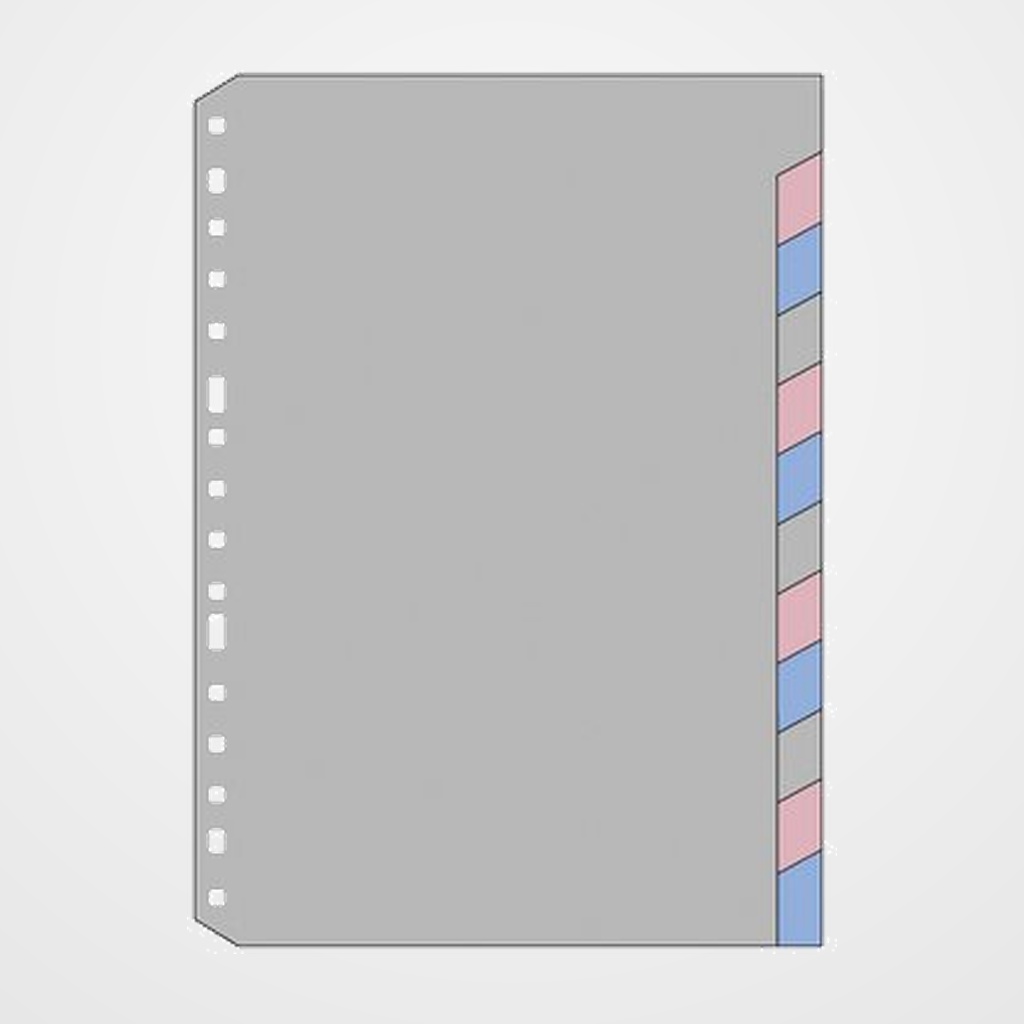 SEPARADORES MULTIFIN PVC D842 2  Fº 12 pestañas