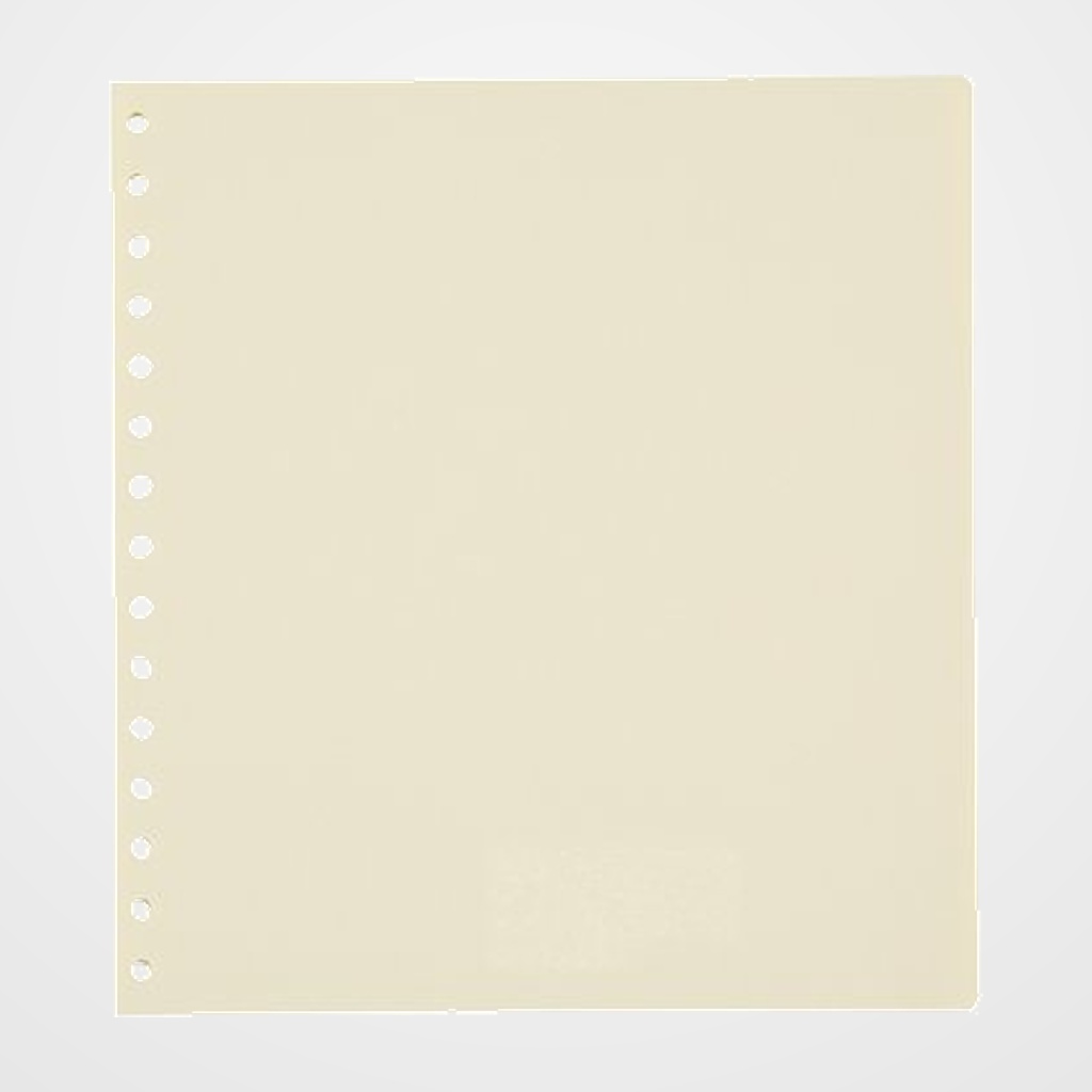 SEPARADORES PARDO CARTULINA A4+ 10 pestañas 16 taladros