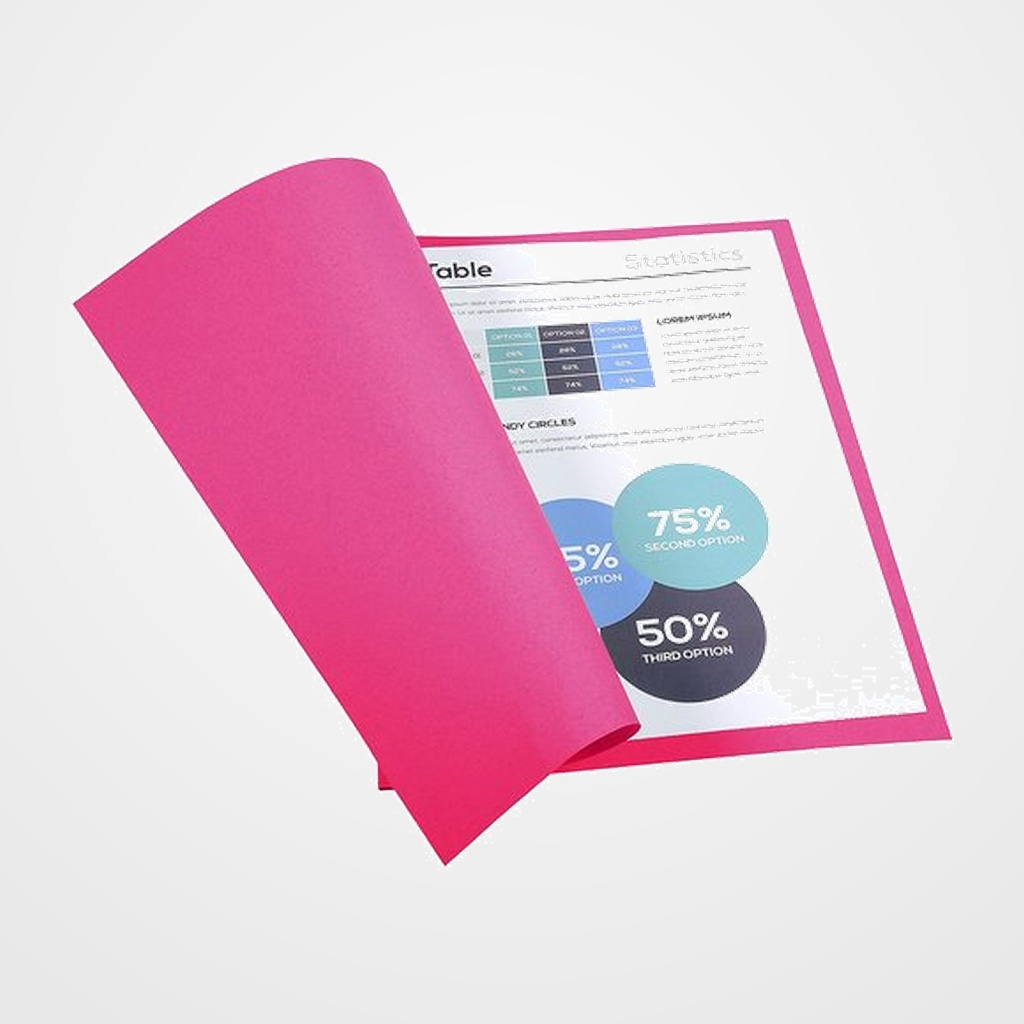 SUBCARPETA EXACOMPTA FOREVER 180 170g A4 FUCSIA PAQUETE de 100