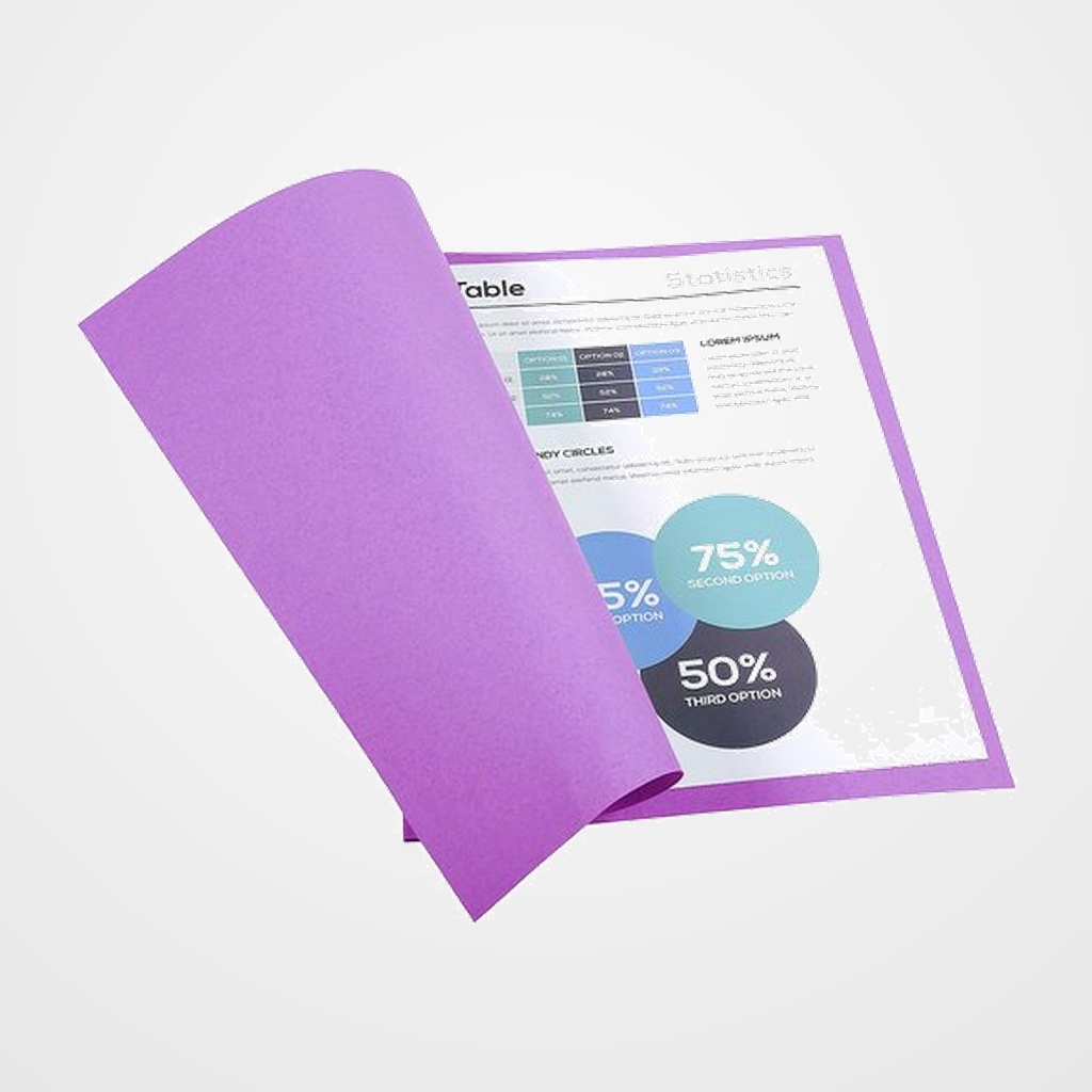 SUBCARPETA EXACOMPTA FOREVER 180 170g A4 VIOLETA PAQUETE de 100