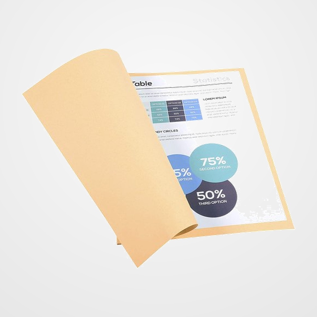 SUBCARPETA EXACOMPTA FOREVER 250 220g A4 CREMA PAQUETE de 100