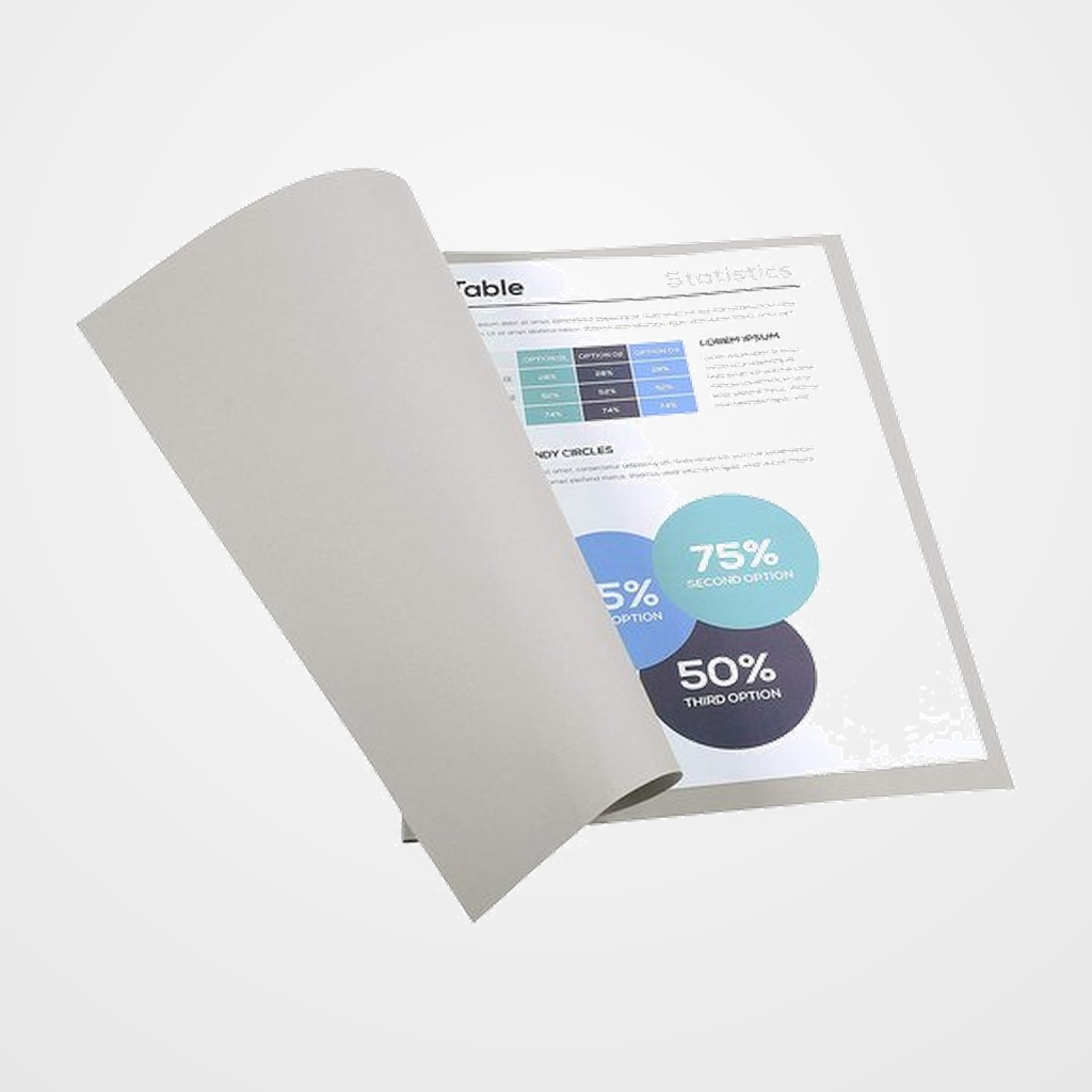 SUBCARPETA EXACOMPTA FOREVER 250 220g A4 GRIS PAQUETE de 100