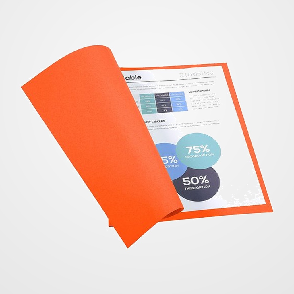 SUBCARPETA EXACOMPTA FOREVER 250 220g A4 NARANJA PAQUETE de 100