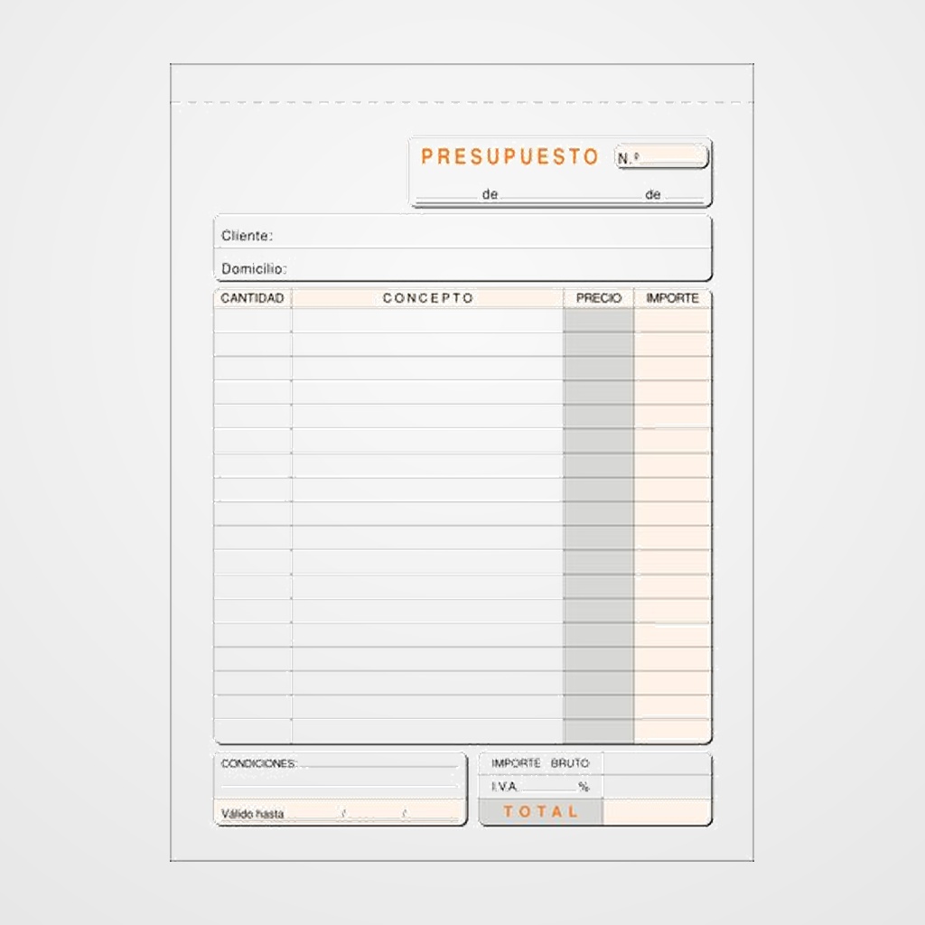 TALONARIO SALARIOS HDSA DUPLICADO LOAN