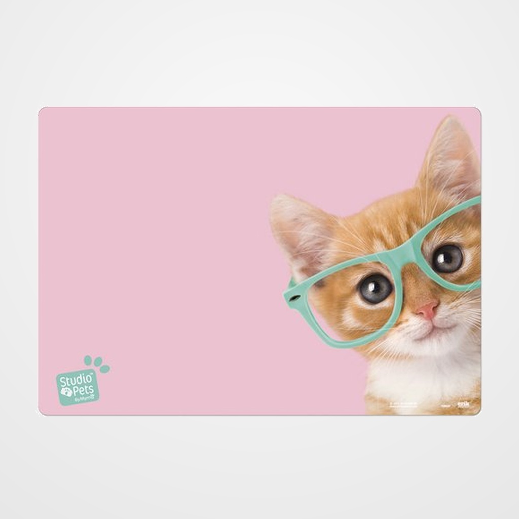 VADE SOBREMESA ERIK ESCOLAR 35x49 STUDIO PETS CAT  CAMERA