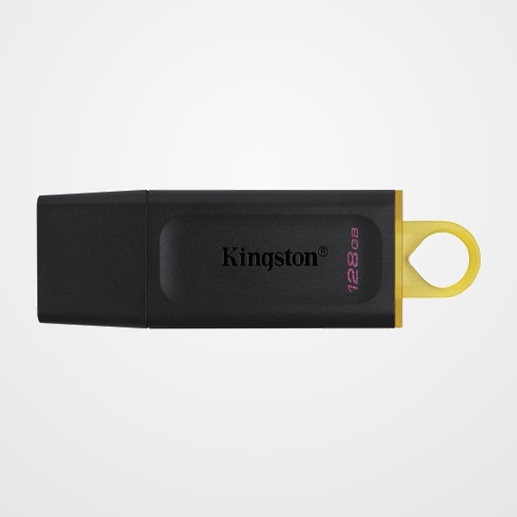 MEMORIA USB 128GB KINGSTON DTX/128GB 3.2 (Incluye Canon LPI de 0,24)