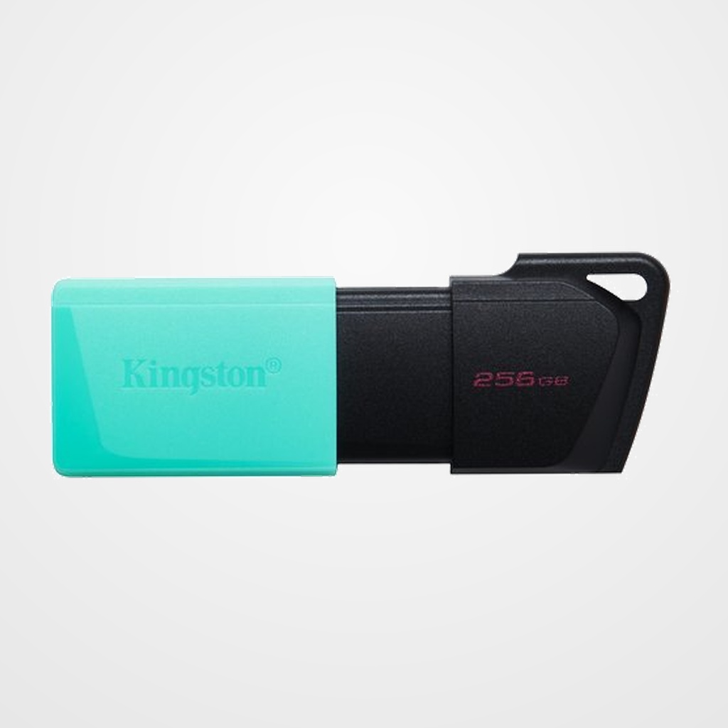 MEMORIA USB 256GB KINGSTON DTXM EXODIA 3.2 (Incluye Canon LPI de 0,24)