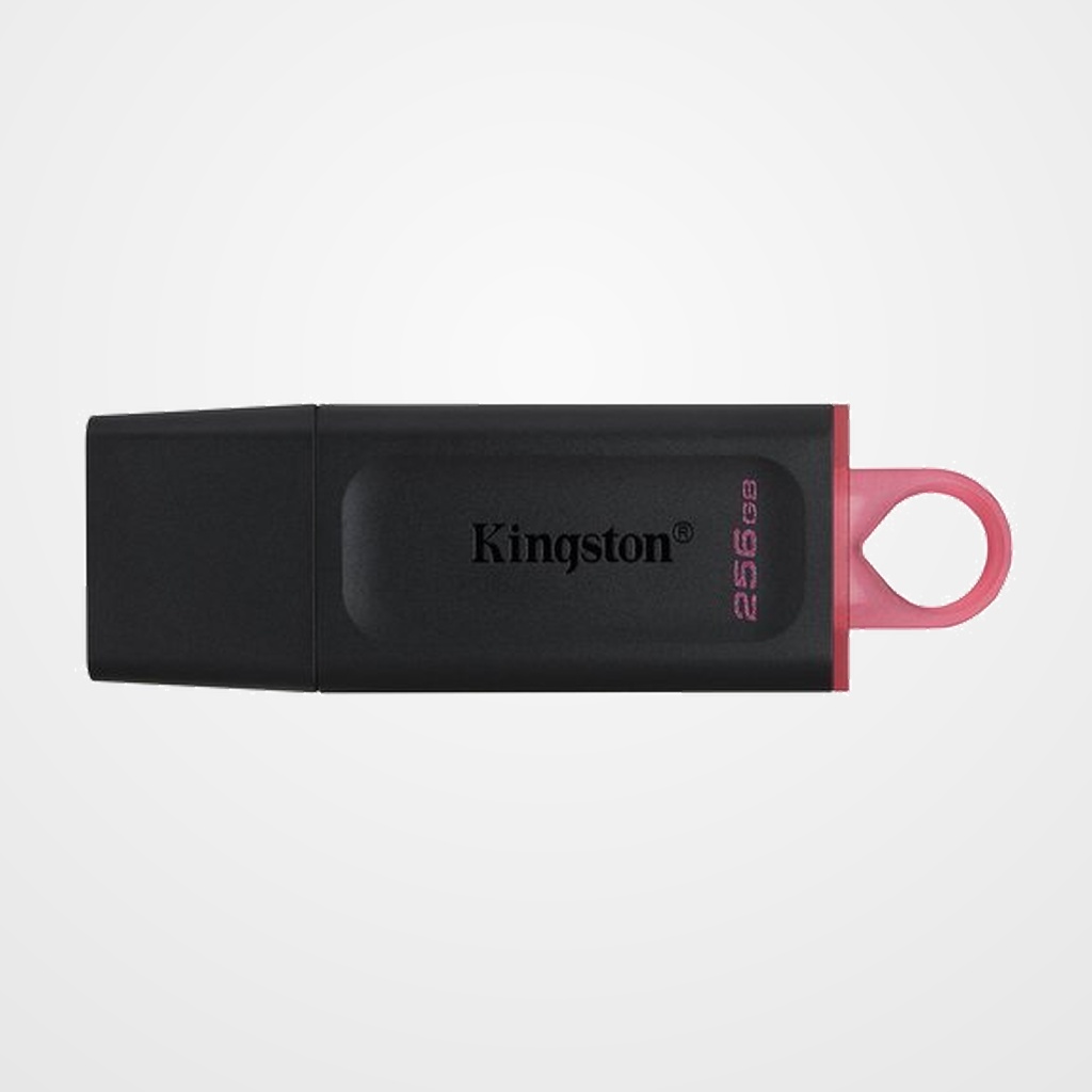 MEMORIA USB 256GB KINGSTON DTX/256GB 3.2 (Incluye Canon LPI de 0,24)