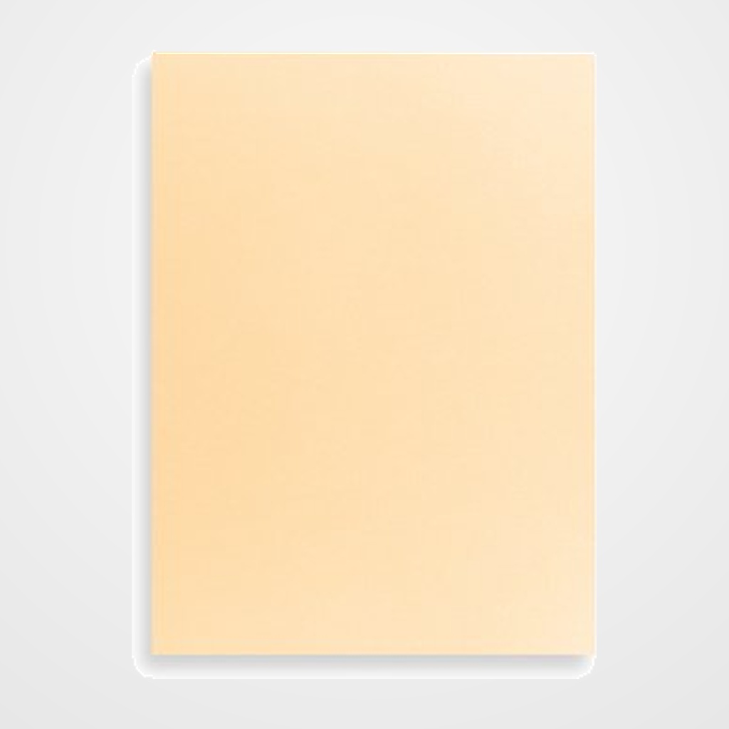 TAPA de ENCUADERNAR FABRIANO 23x32cm CARTULINA 200 g CREMA PAQUETE de 50