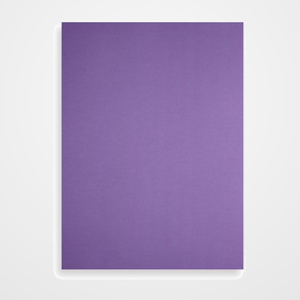 TAPA de ENCUADERNAR FABRIANO 23x32cm CARTULINA 200 g LILA PAQUETE de 50