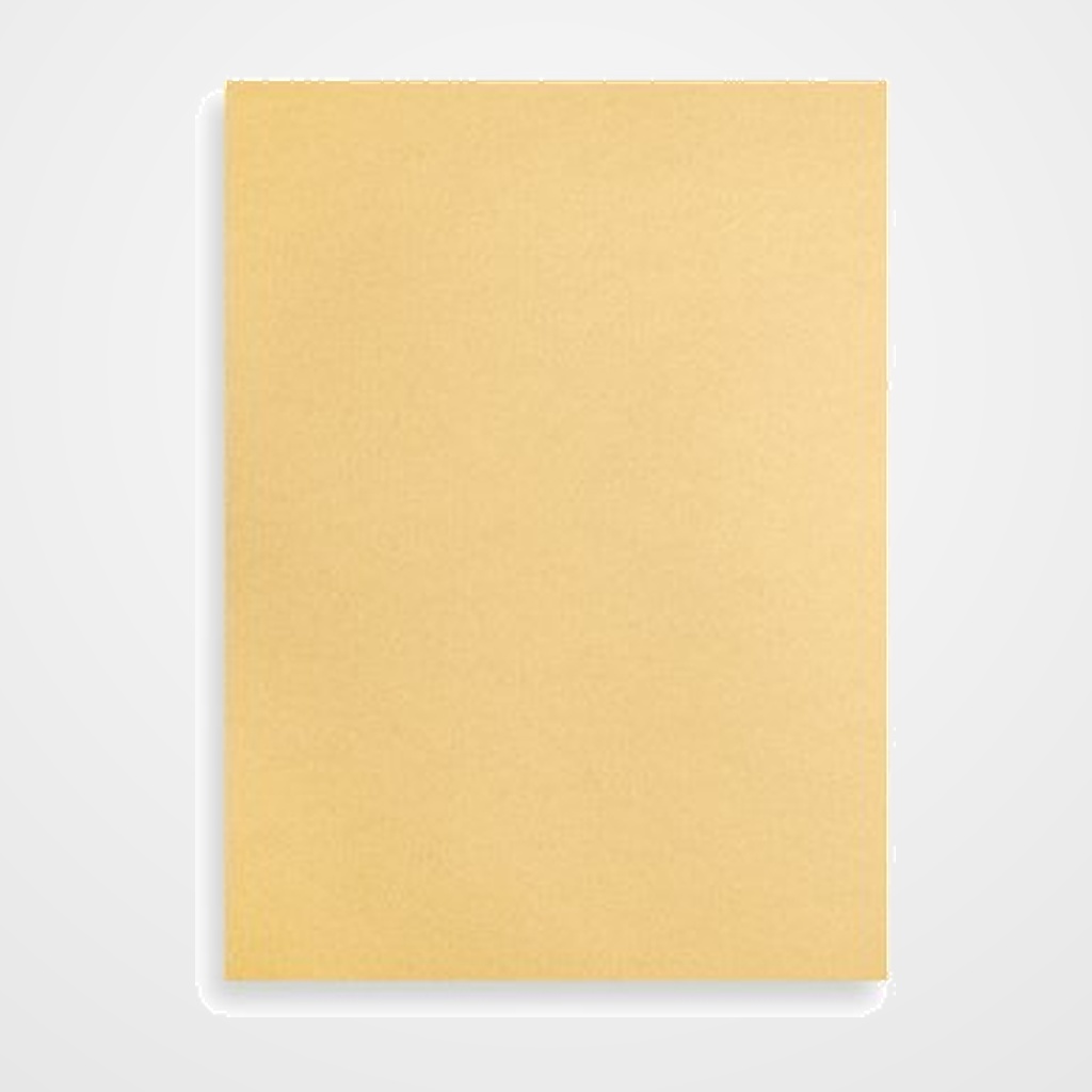 TAPA de ENCUADERNAR FABRIANO 23x32cm CARTULINA 200 g ONICE PAQUETE de 50