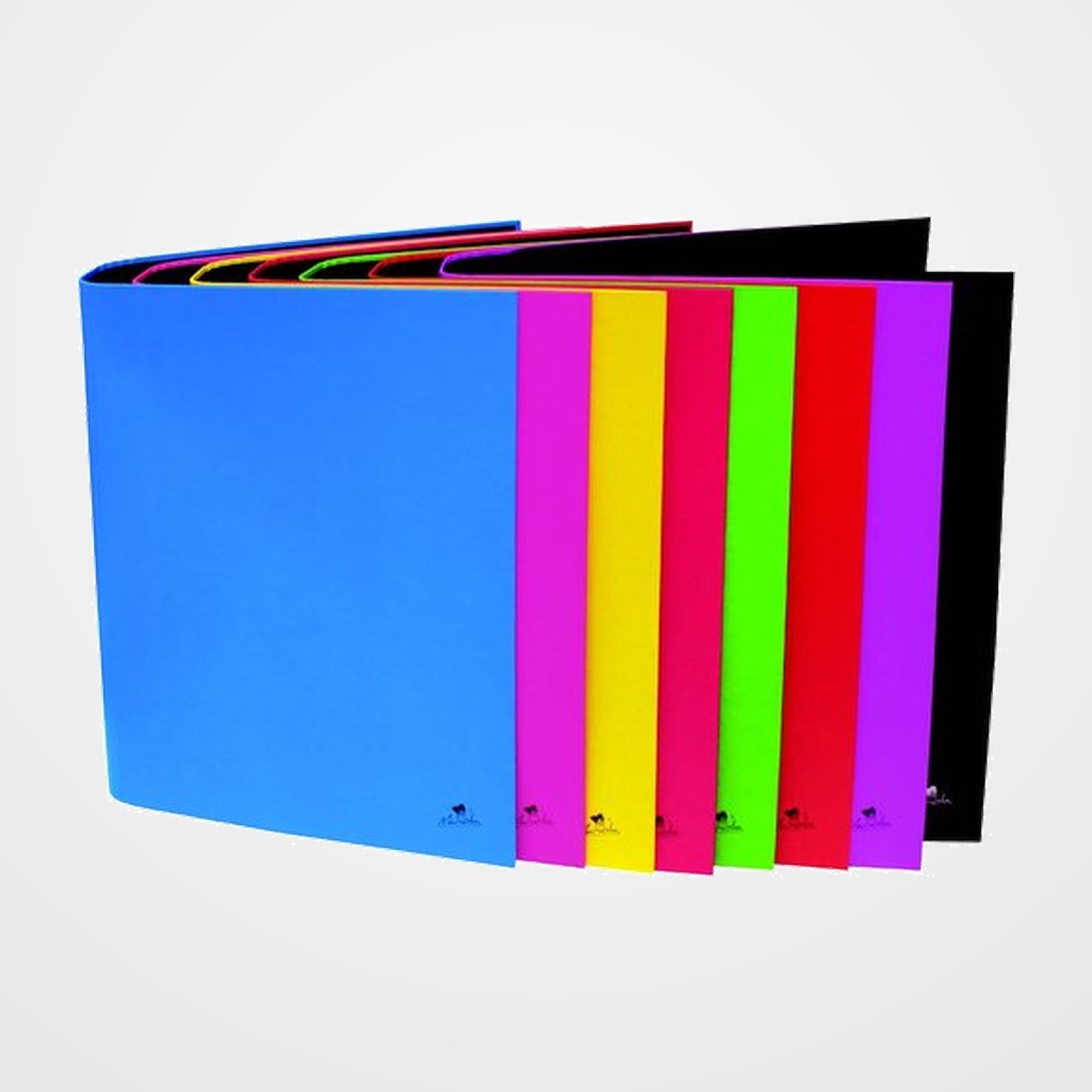 CARPETA de ANILLAS MARIOLA CARTON FORRADO PLASTIFICADO Fº 2 an. 40mm SURTIDO