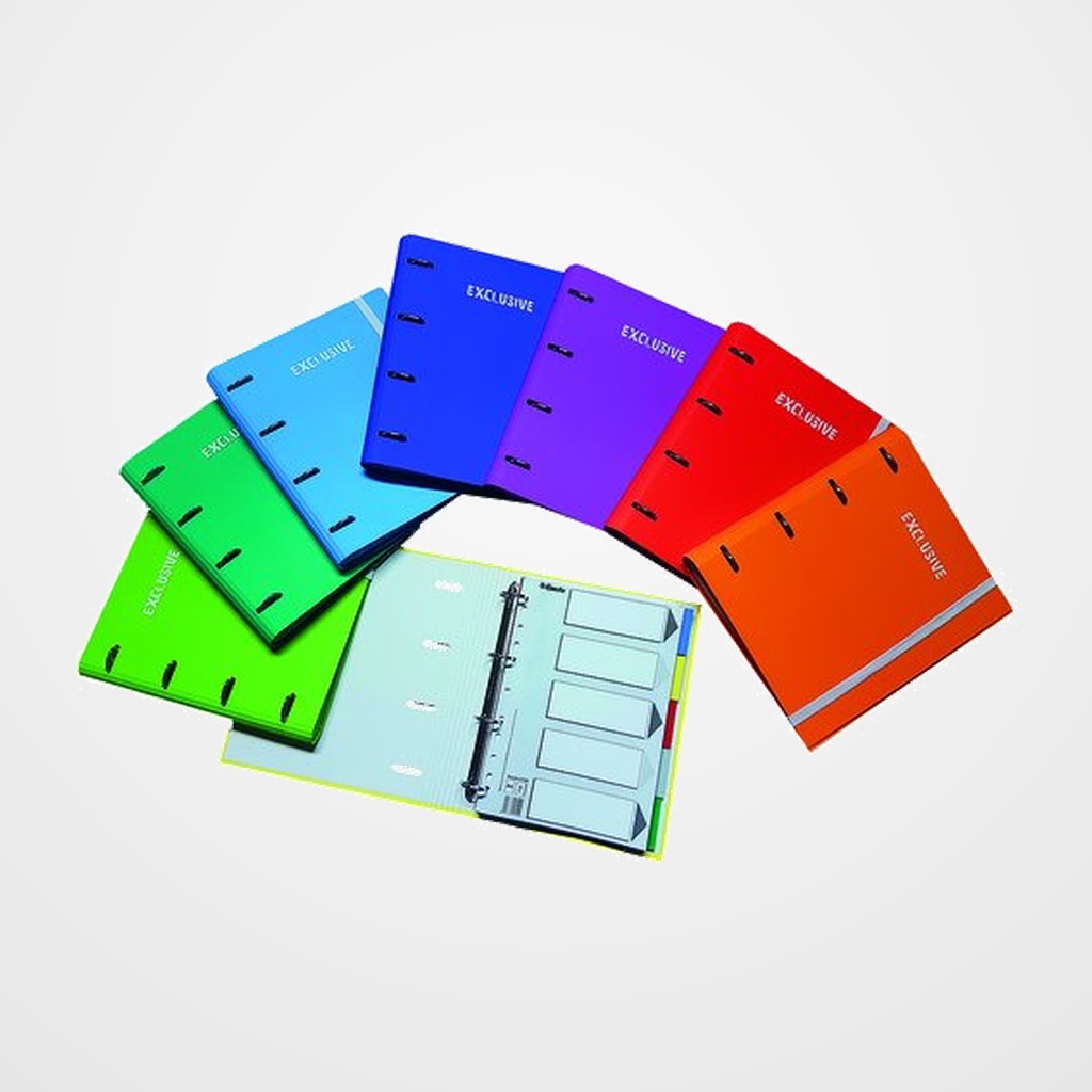 CARPEBLOC PACSA EXCLUSIVE CARTON FORRADO SOFT A4 4 an.MIXTAS 25mm con REC. 120 hj. CUADRIC.5x5 + 5 SEPARADORES SURTIDO (8 col.)