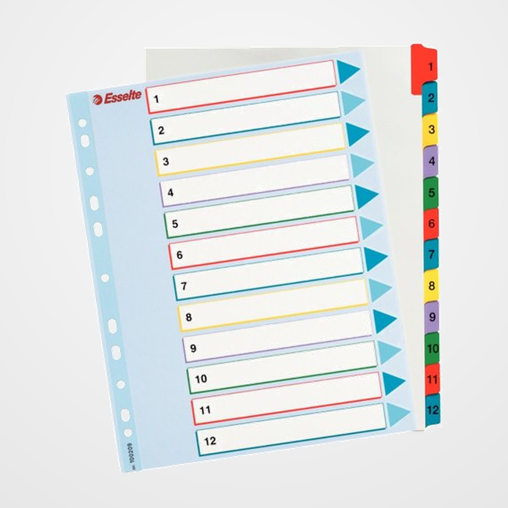 INDICE ESSELTE CARTULINA MYLAR BORRABLE NUMERICO A4+ pestañas 1-12 11 taladros