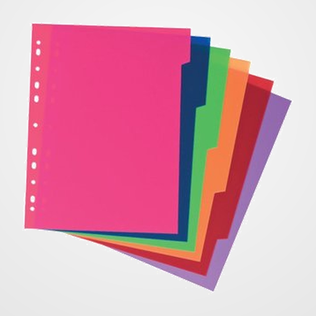 SEPARADORES CARCHIVO PP XXL Fº  6 pestañas 11 taladros