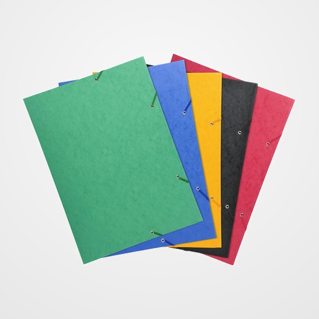 CARPETA de GOMAS y SOLAPAS EXACOMPTA CARTON A3 SURTIDO (5 col.)