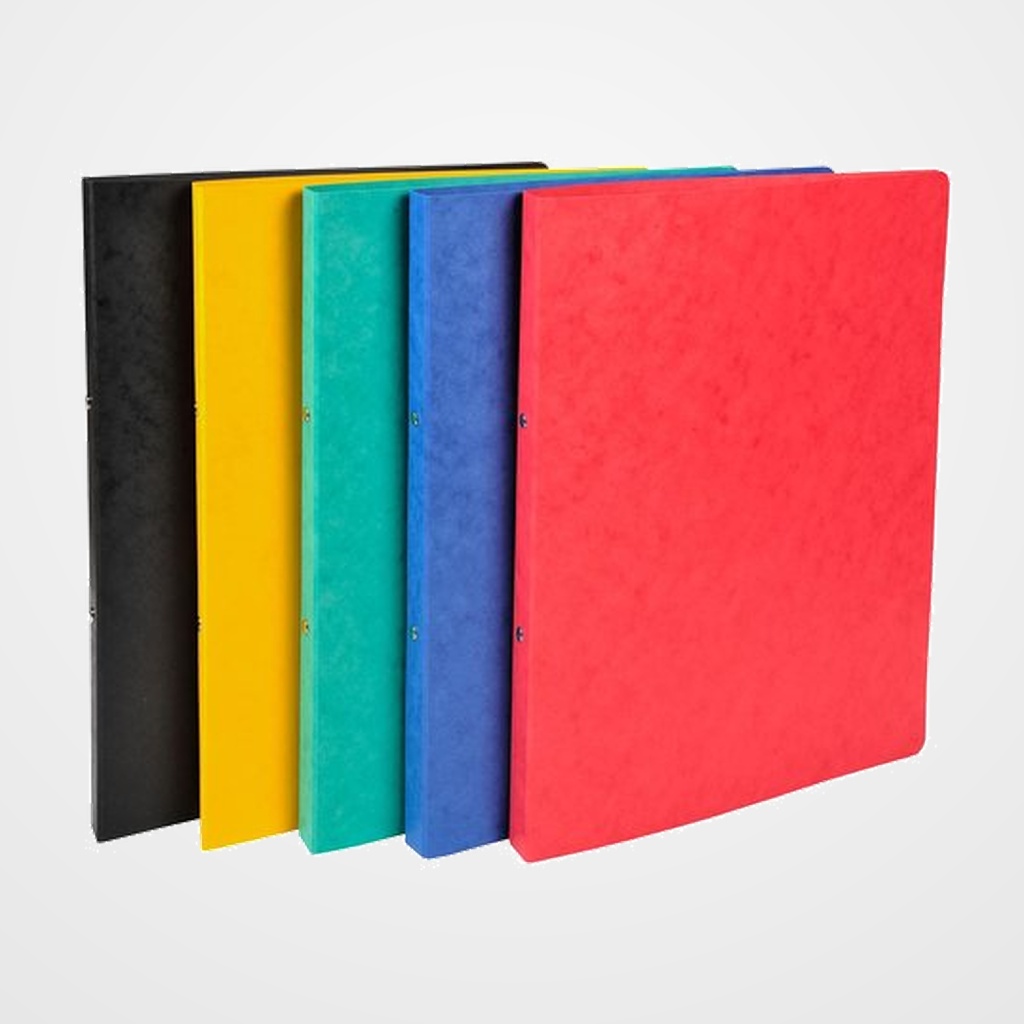 CARPETA de ANILLAS EXACOMPTA CARTULINA LUSTRADA A4 2 an.REDONDA 15mm SURTIDO (5 col.)