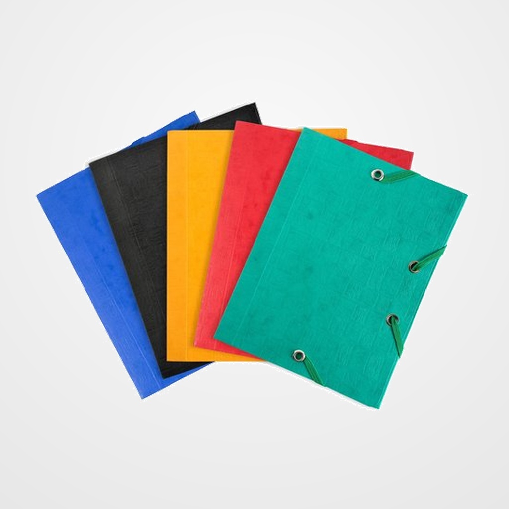 CARPETA de GOMAS y SOLAPAS EXACOMPTA SCOTTEN CARTON POCKET 12x16 SURTIDO (5 col.)