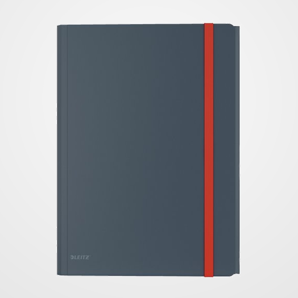 CARPETA de GOMAS y SOLAPAS LEITZ COSY PP A4 GRIS