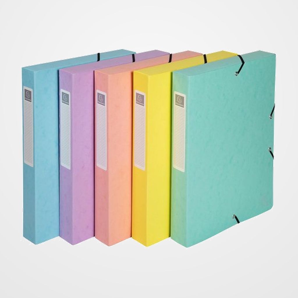 CARPETA de PROYECTOS EXACOMPTA AQUAREL  CARTON A4 GOMAS  2.5 cm SURTIDO (5 col.)