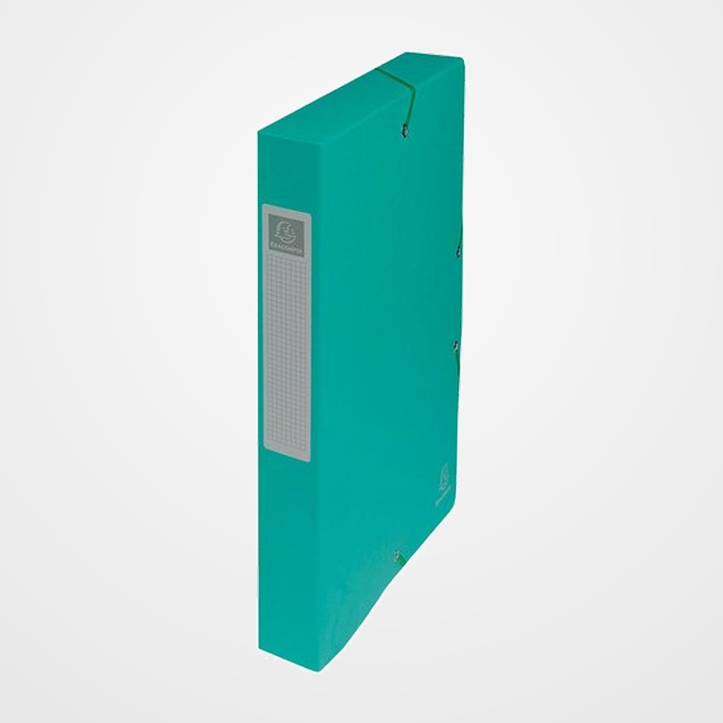 CARPETA de PROYECTOS EXACOMPTA EXABOX CARTULINA LUSTRADA NATURE FUTURE A4+ GOMAS  4 cm VERDE