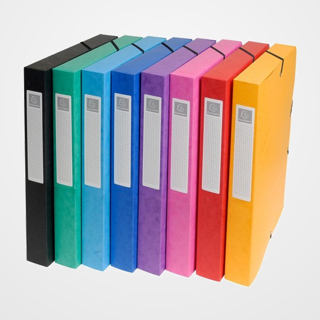 CARPETA de PROYECTOS EXACOMPTA EXABOX CARTULINA LUSTRADA NATURE FUTURE A4+ GOMAS  2,5 cm SURTIDO (8 col.)