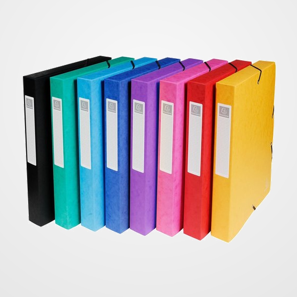 CARPETA de PROYECTOS EXACOMPTA EXABOX CARTULINA LUSTRADA NATURE FUTURE A4+ GOMAS  4 cm SURTIDO (8 col.)