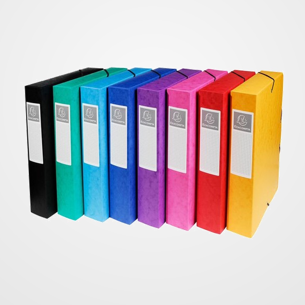 CARPETA de PROYECTOS EXACOMPTA EXABOX CARTULINA LUSTRADA NATURE FUTURE A4+ GOMAS  6 cm SURTIDO (8 col.)