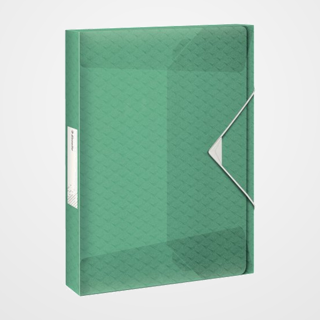 CARPETA de PROYECTOS ESSELTE COLOUR BREEZE PP A4 GOMAS 2,5 cm VERDE