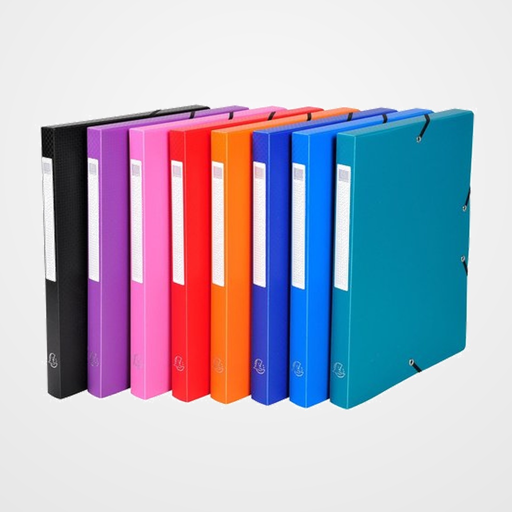 CARPETA de PROYECTOS EXACOMPTA EXABOX PP LISO OPACO A4 GOMAS  2,5 cm SURTIDO (8 col.)
