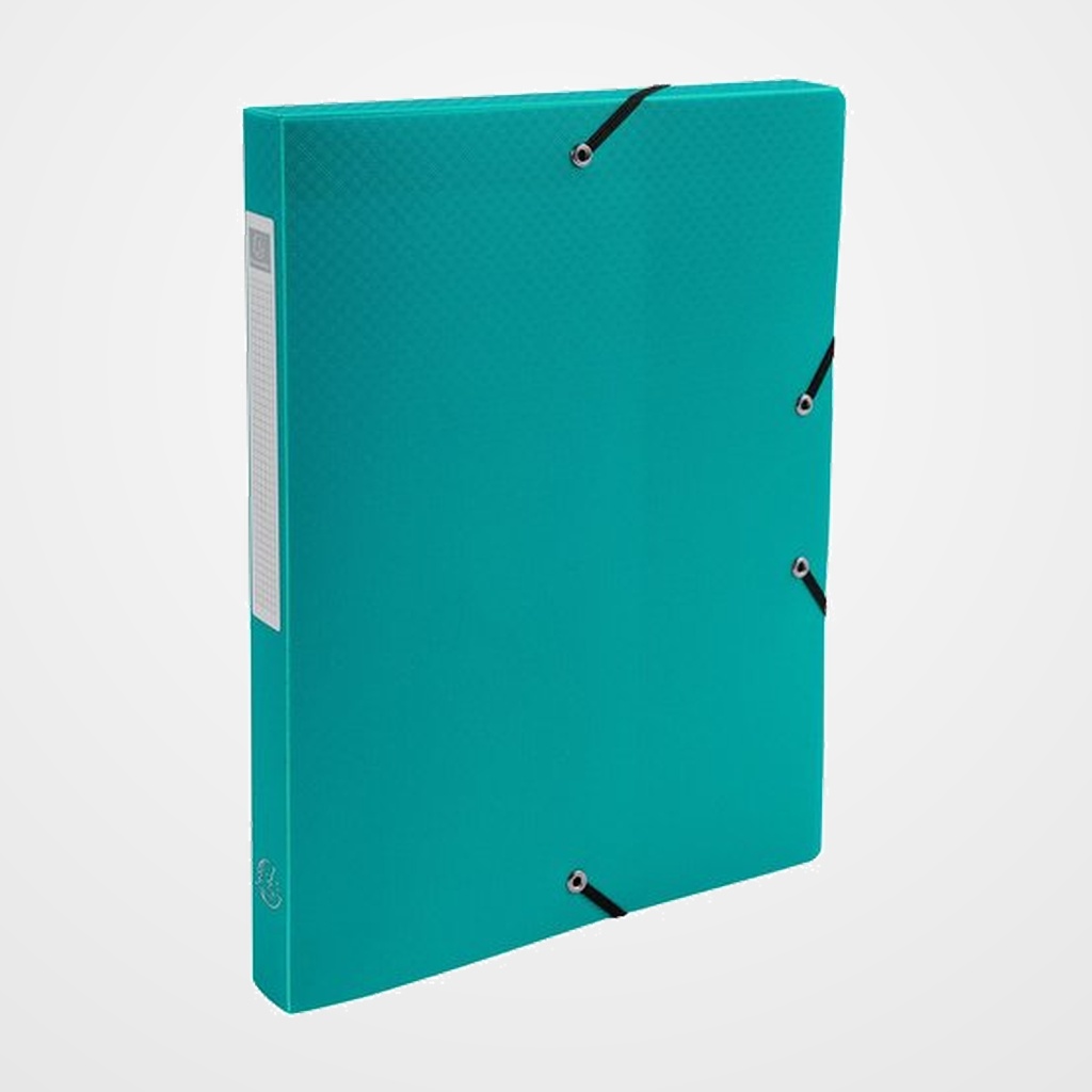 CARPETA de PROYECTOS EXACOMPTA EXABOX PP LISO OPACO A4 GOMAS  2,5 cm VERDE