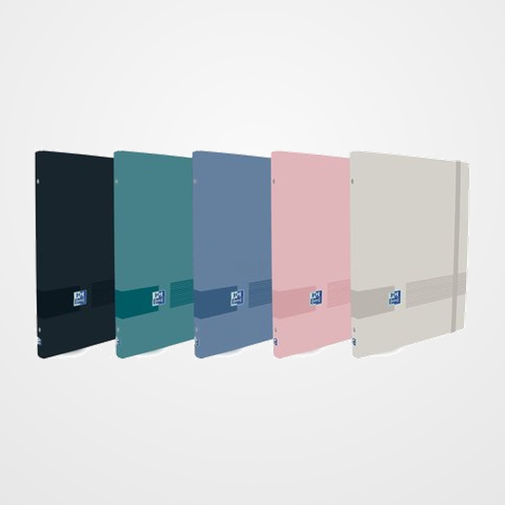 CLASIFICADOR ACORDEON OXFORD OXFORD&YOU CARTON FORRADO A4+ 12 DPTOS. COL.SUR.(5)