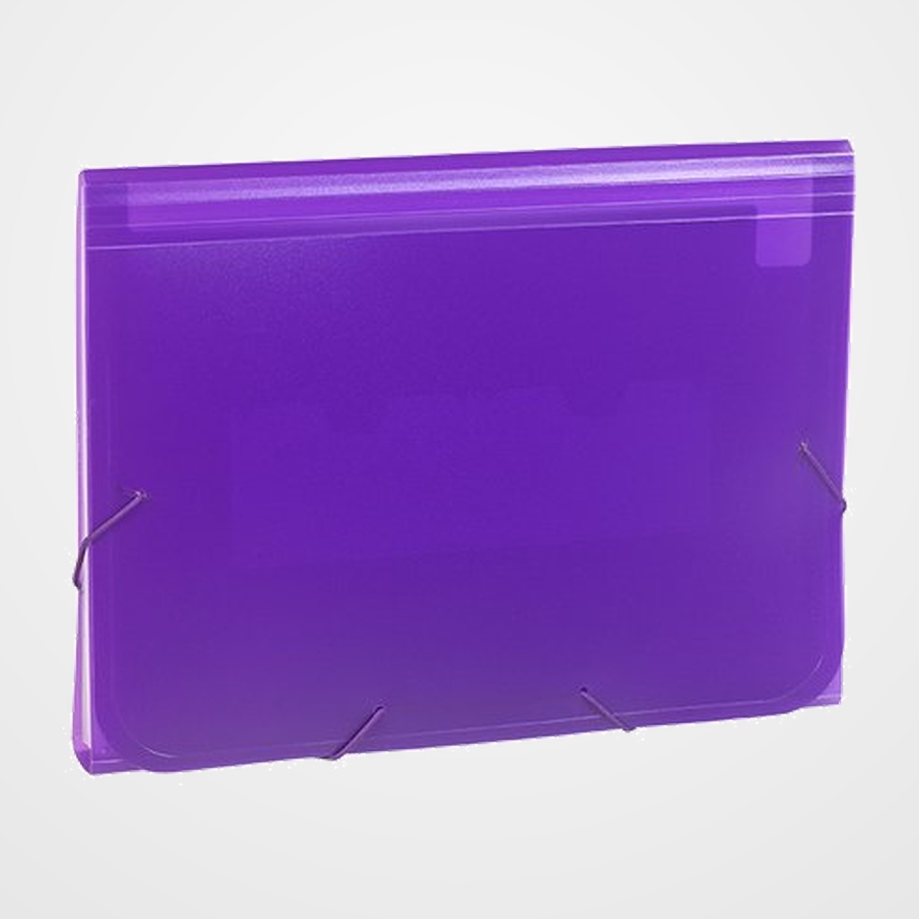 CLASIFICADOR ACORDEON CARCHIVO PP TRANSL. Fº 13 DPTOS.GOMAS VIOLETA
