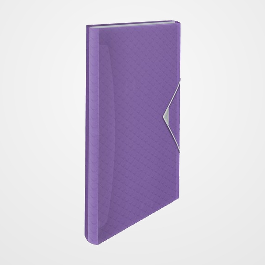 CLASIFICADOR ACORDEON ESSELTE PP COLOUR BREEZE A4 6 SEPARAD. MALVA