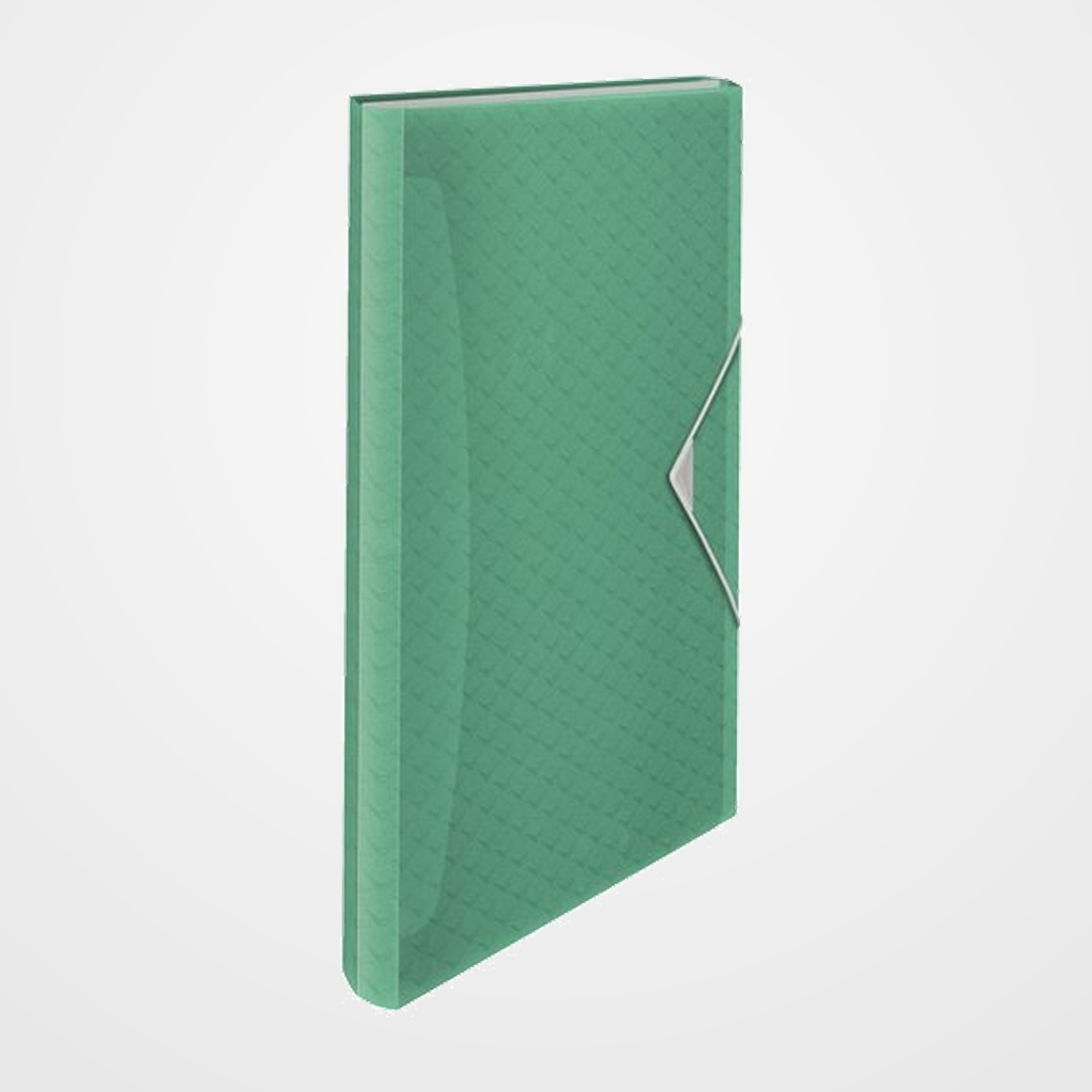 CLASIFICADOR ACORDEON ESSELTE PP COLOUR BREEZE A4 6 SEPARAD. VERDE