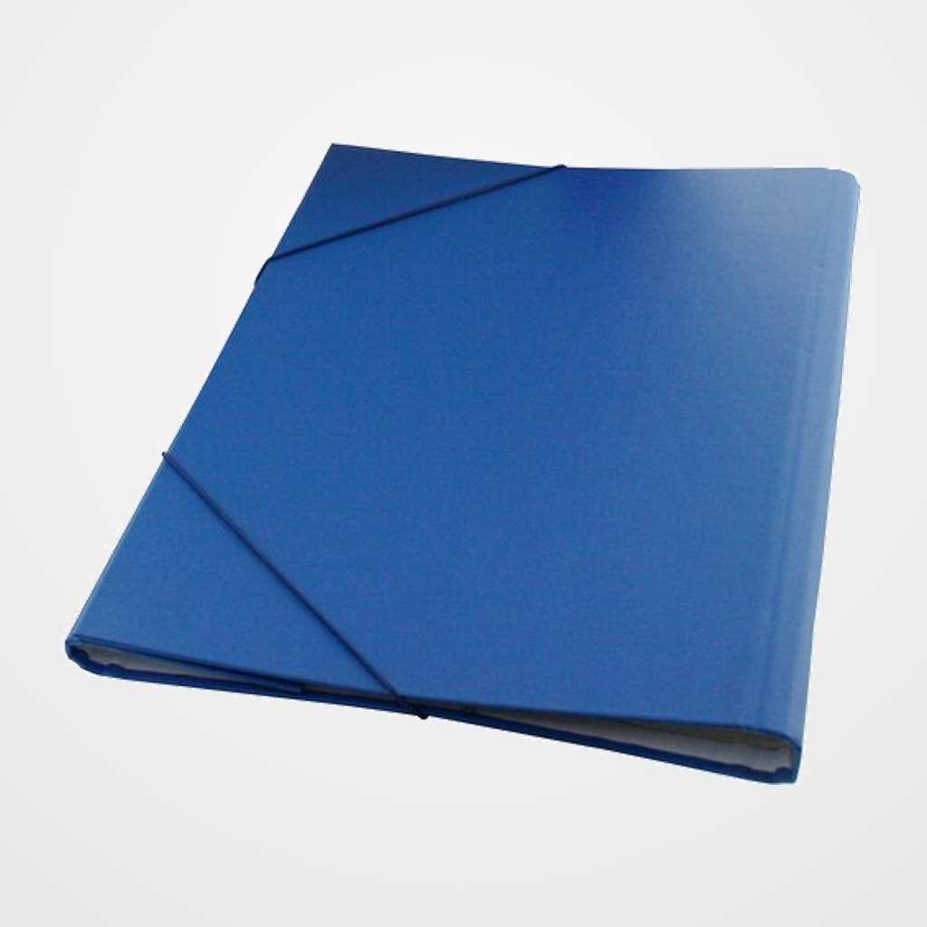 CARPETA CLASIFICADORA DOHE CARTON PLASTIF. Fº 12 DPTOS.GOMAS y SOLAPA AZUL