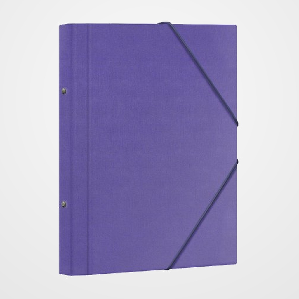 CARPETA CLASIFICADORA DOHE CARTON PLASTIF. Fº 12 DPTOS.GOMAS y SOLAPA MORADO