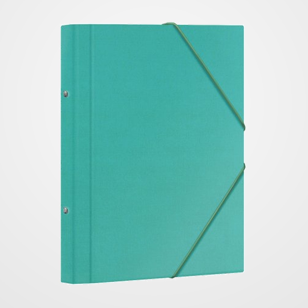 CARPETA CLASIFICADORA DOHE CARTON PLASTIF. Fº 12 DPTOS.GOMAS y SOLAPA VERDE CLARO