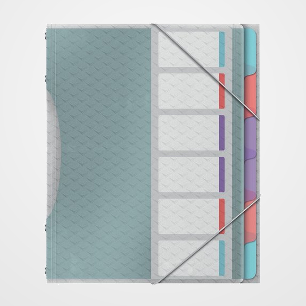 CARPETA CLASIFICADORA ESSELTE COLOUR BREEZE A4 PP 6 SEPARAD.con GOMA SURTIDO