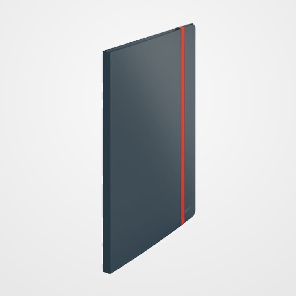 CARPETA FUNDAS (TARIFARIO) LEITZ COSY PLUS PP FLEXIBLE A4 20 F. GRIS