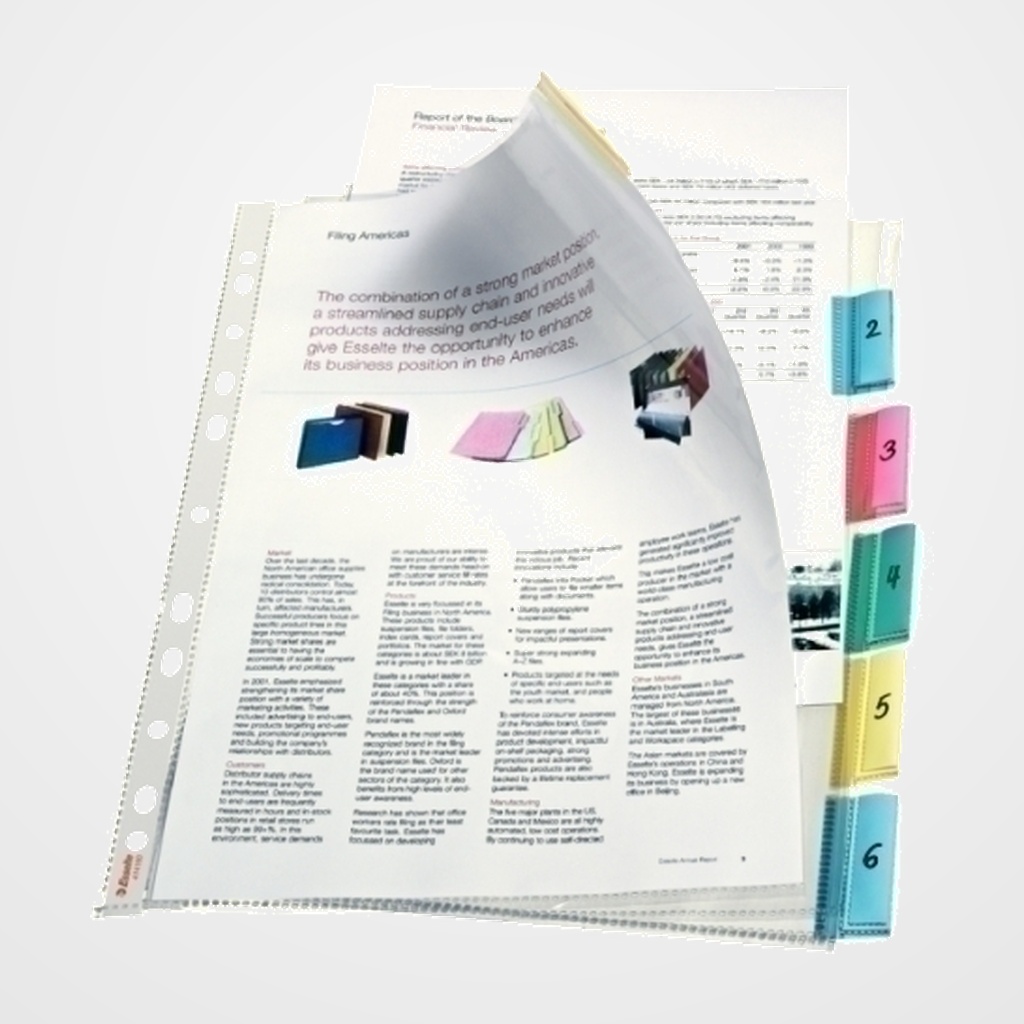 FUNDA MULTITALADRO con PESTAÑAS ESSELTE PP 85µ CRISTAL LISO A4 11 TAL.RFZO. SET de 6