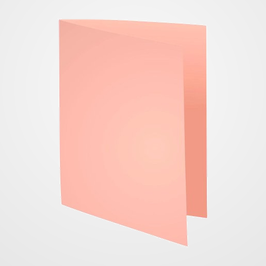 SUBCARPETA EXACOMPTA FOREVER 170g A4 ROSA PAQUETE de 100