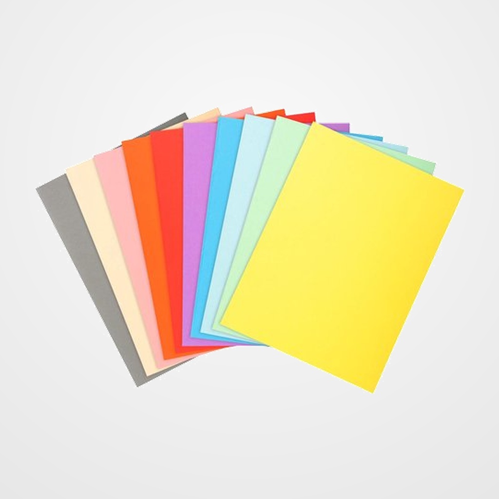 SUBCARPETA EXACOMPTA FOREVER 220 220g A4 SURTIDO PAQUETE de 100