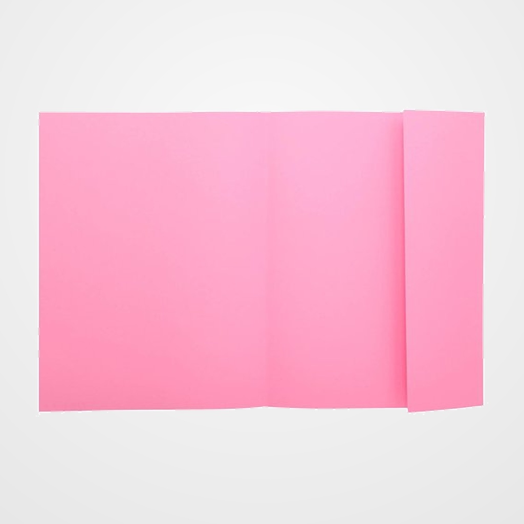 SUBCARPETA EXACOMPTA SUPER 160 1 SOLAPA 160g A4 ROSA CLARO PAQUETE de 100