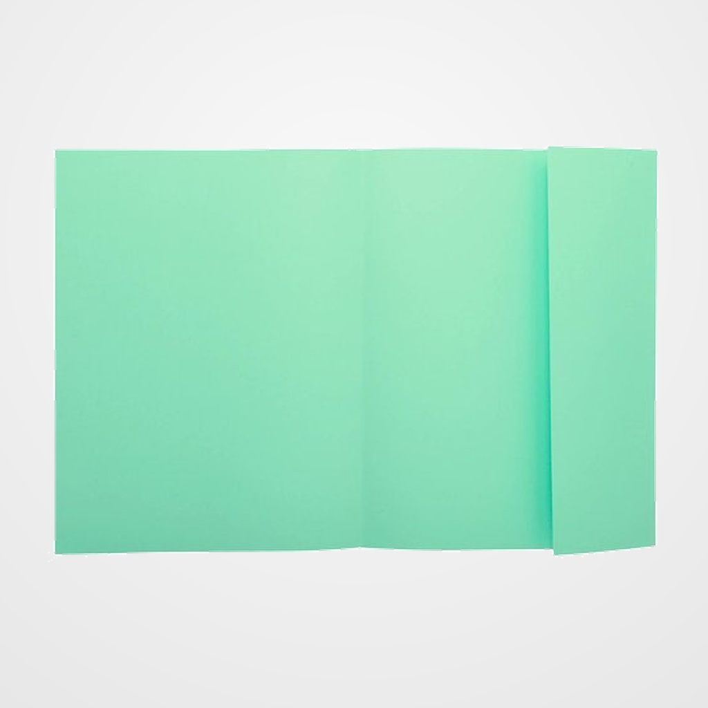 SUBCARPETA EXACOMPTA SUPER 160 1 SOLAPA 160g A4 VERDE CLARO PAQUETE de 100