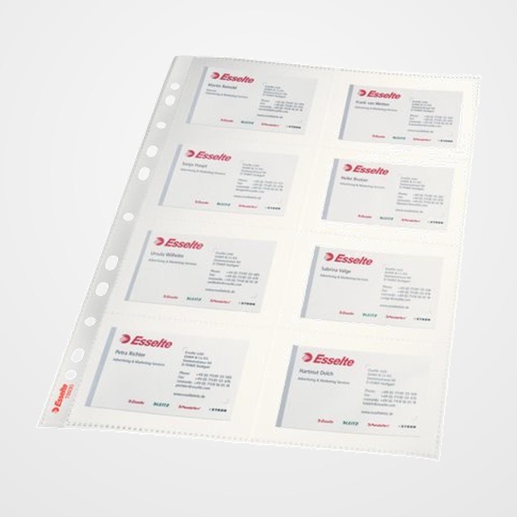 FUNDA para TARJETAS ESSELTE PP 110µ A4 8 DPTOS. 11 TAL. BOLSA de 10