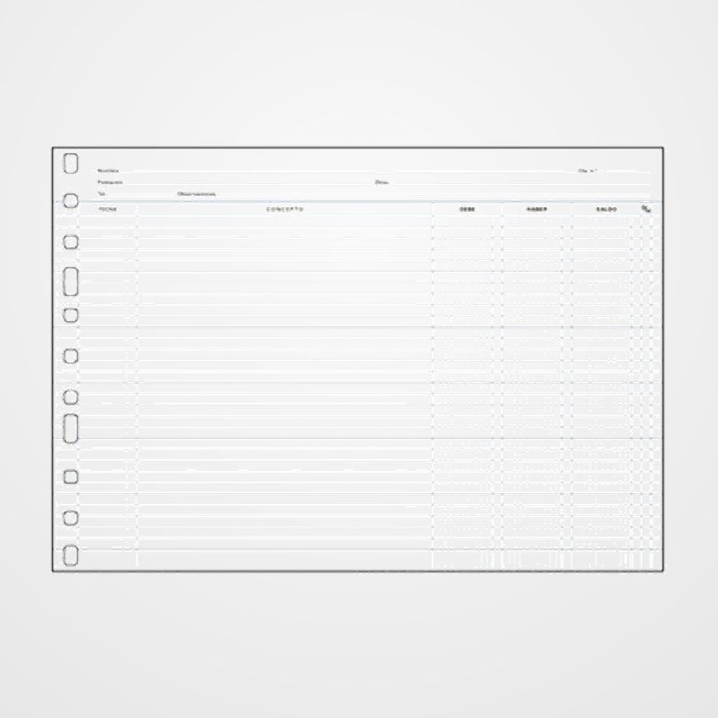 RECAMBIO MULTIFIN Fº AP. 11 ANILLAS 3006 C/CORR